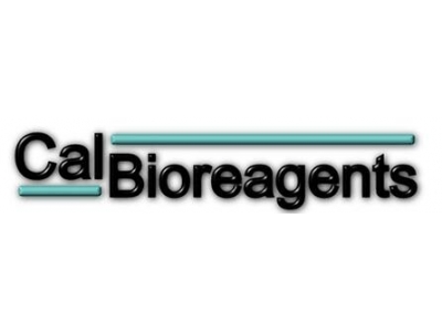 CalBioreagents代理，CalBioreagents蘇州代理，